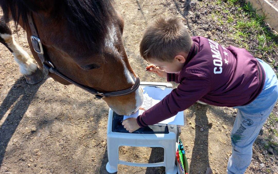 Les troubles de l'apprentissage "DYS" et du comportements. Comment le cheval devient le meilleur allié! Sur le chemin du Moi / Hélène DELEURENCE