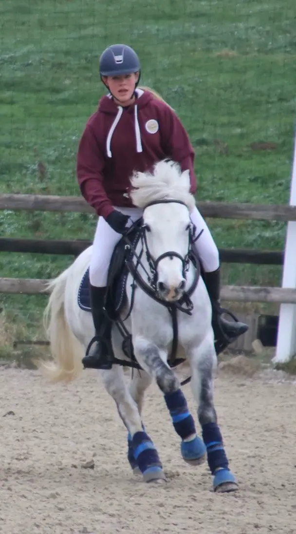 Témoignage Fleurs de Bach pour les chevaux
