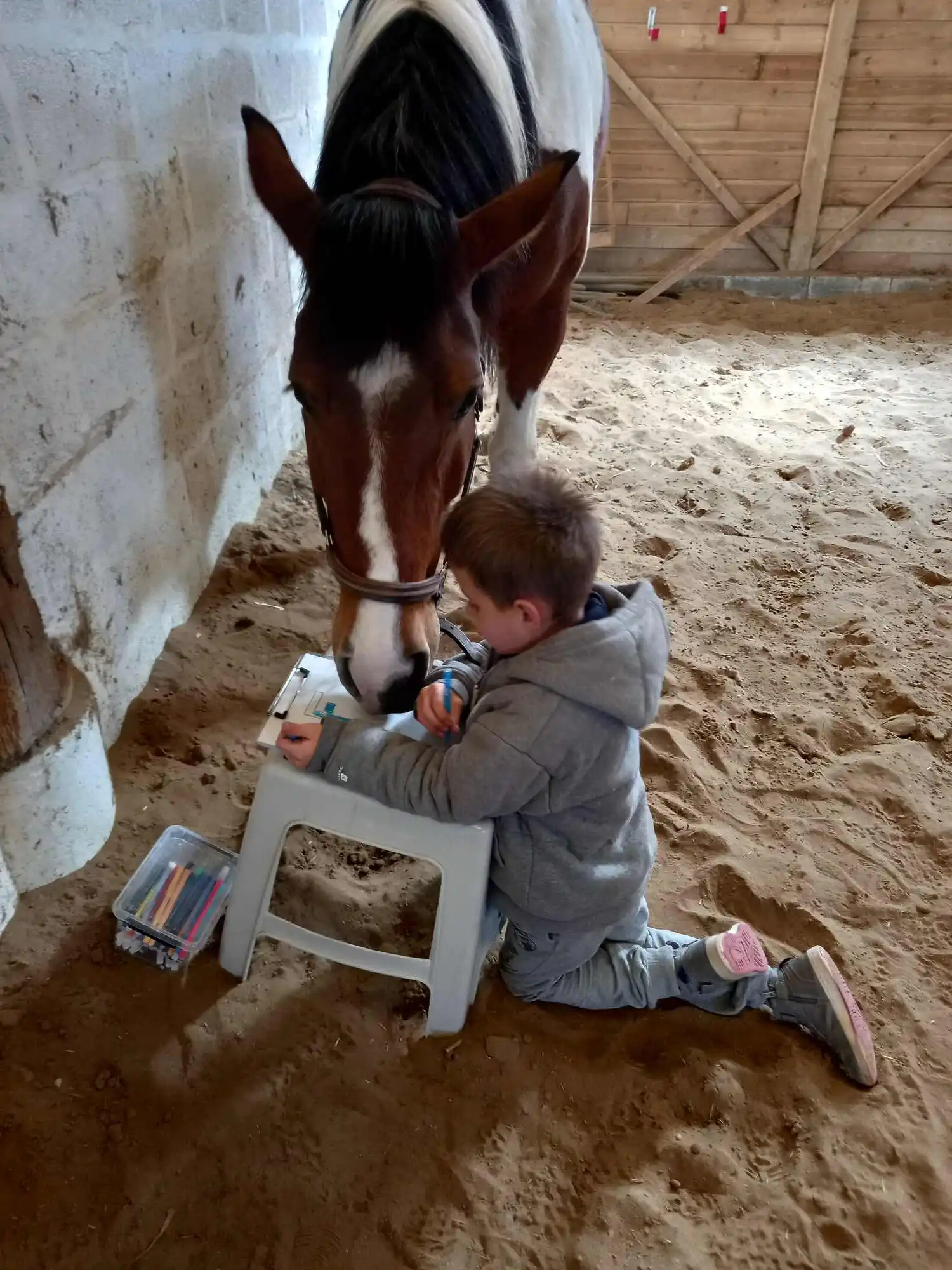 dys-equitherapie (1) Equithérapeute certifiée par Ellispsy. Hélène Deleurence